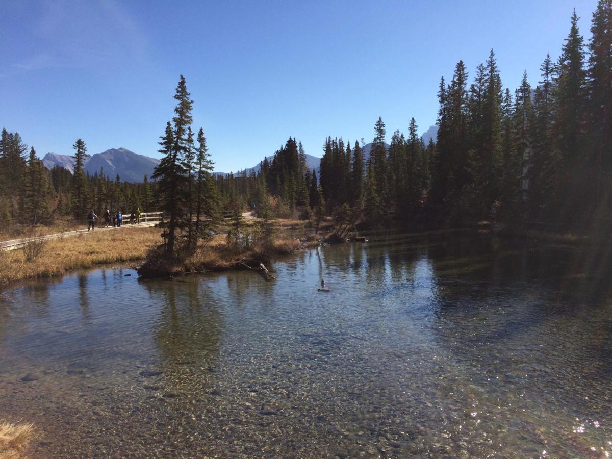 405 Bear Creek Crossing